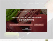 Tablet Screenshot of gerardcabiron.com